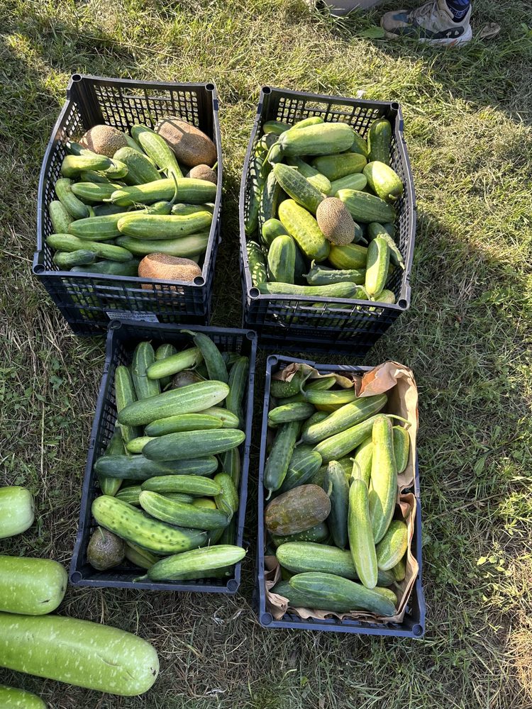 Mahin Agro