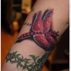archer ink closed tattoo 90 50 sutphin blvd jamaica archer ink closed tattoo 90 50 sutphin blvd jamaica