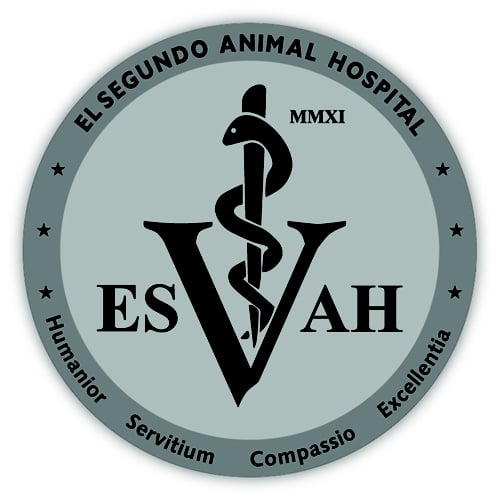 El Segundo Animal Hospital 124 Photos & 126 Reviews Veterinarians