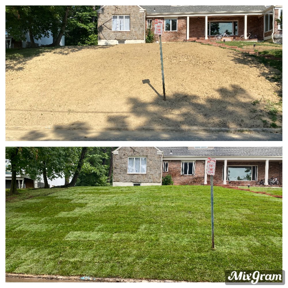 DM Landscaping Design