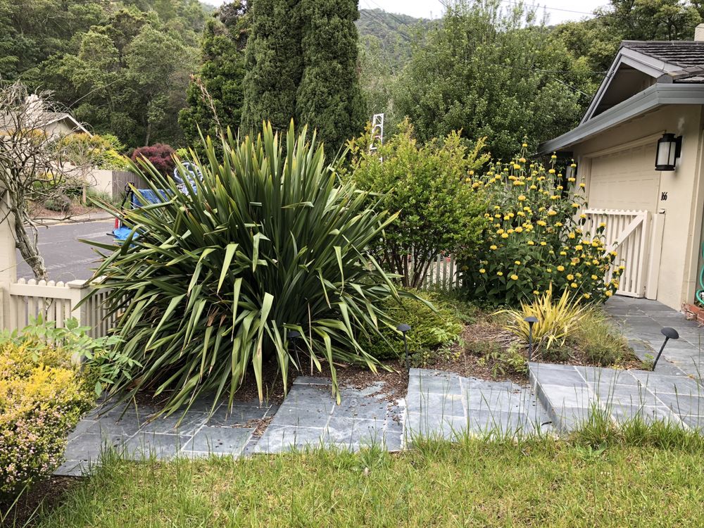 Fabian's Gardening