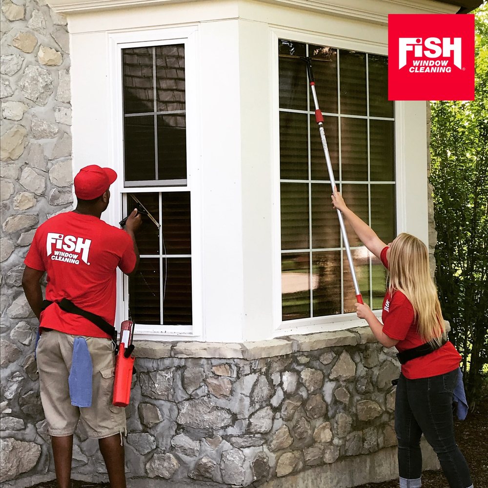 Fish Window Cleaning