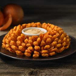 outback steakhouse 528 photos