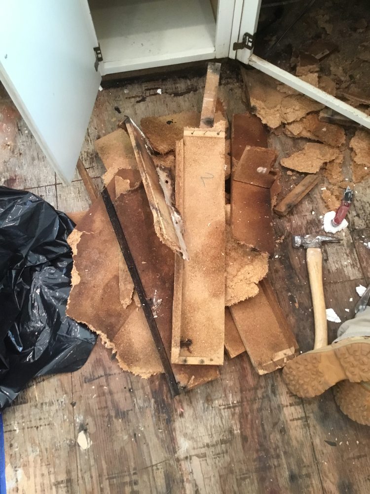 Green Oak Restoration