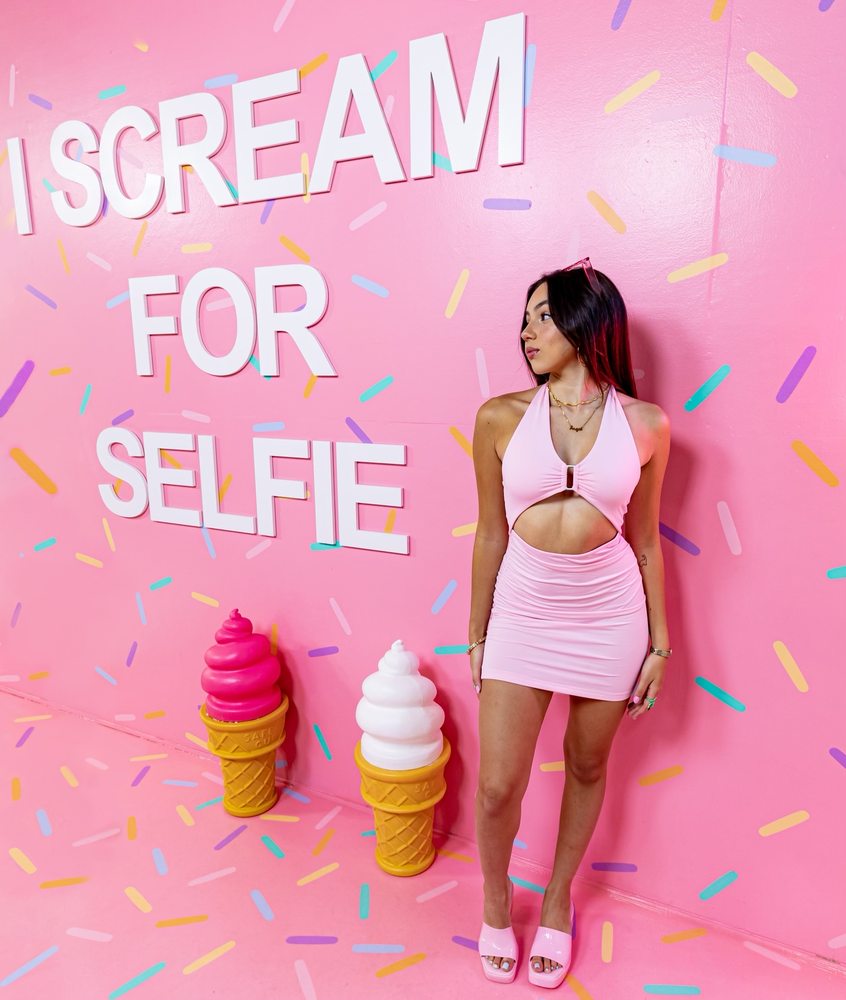 Original Selfie Museum