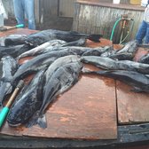 Dory Fishing Fleet Market 244 Photos 82 Reviews Seafood Photo Of Dory Fishing Fleet Market Newport Beach Ca United States