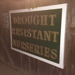 Drought Resistant Nursery Nurseries Gardening 850 Park Ave Photo Of Drought Resistant Nursery Monterey Ca United States Very Knowledgeable