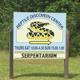 The Reptile Discovery Center - 17 Photos & 13 Reviews - Museums - 2710