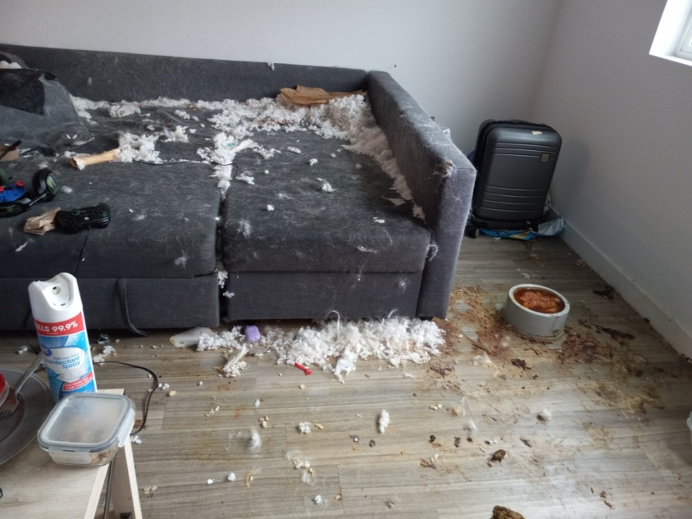 Miranda's House Cleaning