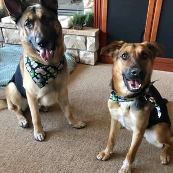 Dog Grooming Glenwood Boise Dog Grooming Glenwood Boise