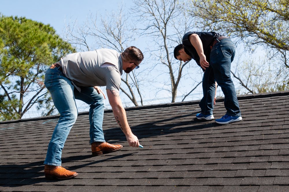 Alpha Elite Roofing