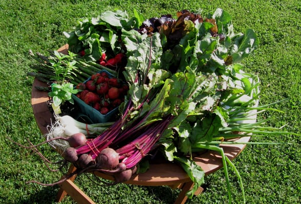 Culinary Delights Farm