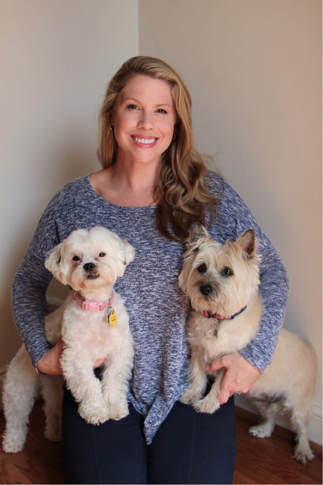 Sully Animal Hospital