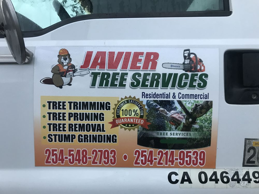 Javier's Tree Service
