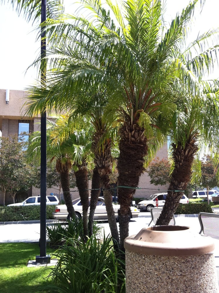 Photos for Monterey Park Hospital Yelp