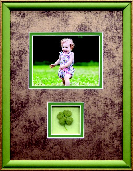 Long Island Picture Framing