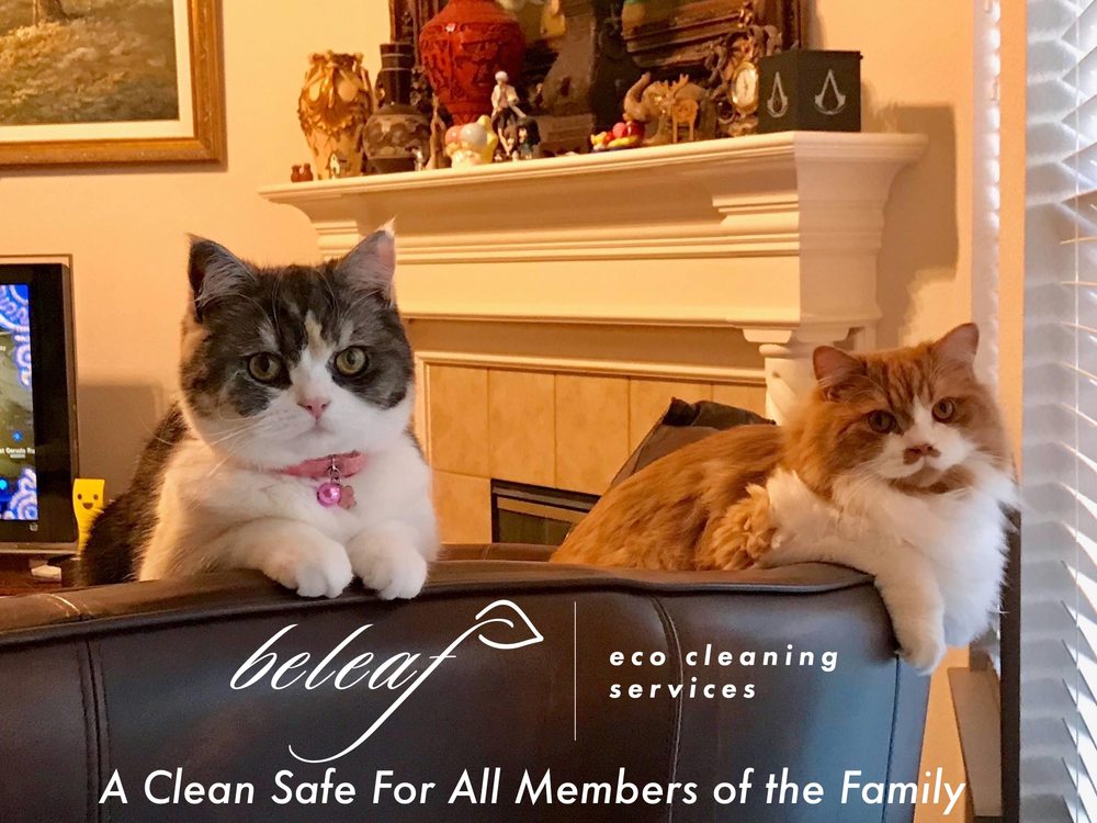 Beleaf Eco Cleaning Services