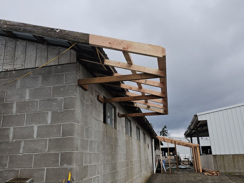 image of business Silver Bear Construction