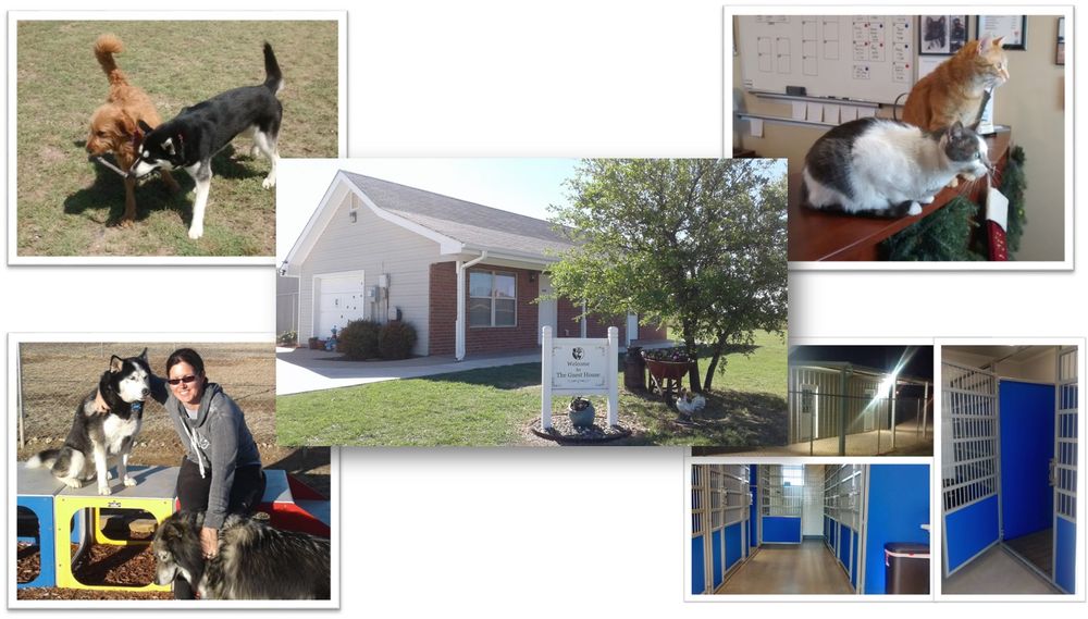 My Pet Butler Abilene, TX 6817 Maple St Phone Number Yelp