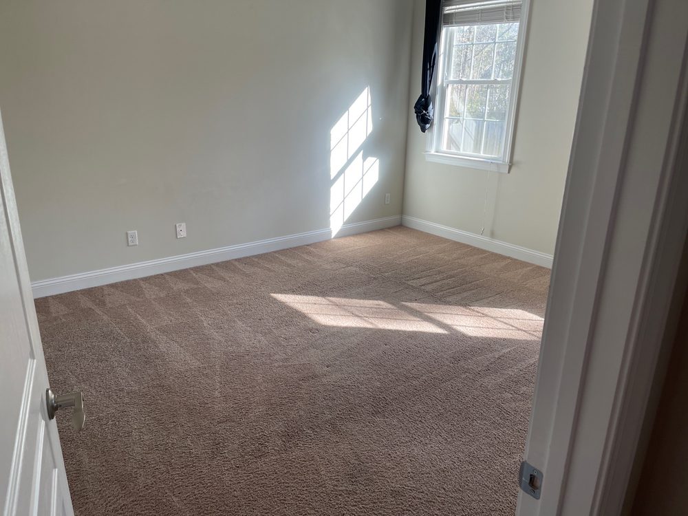 Oceanside Carpet Cleaning & Pressure Washing