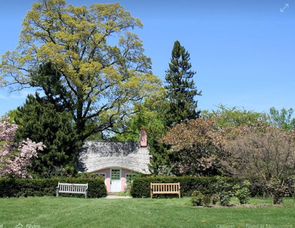 Steve Chapman's Tree Service