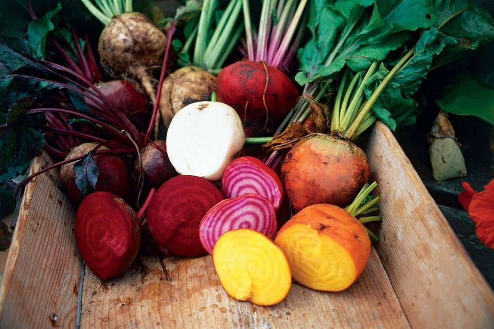 Turnip The Beet 47 Photos & 153 Reviews American (New) 130 E Front St, Port Angeles, WA