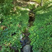 photo of quarryhill botanical garden glen ellen ca united states meandering stream - Quarryhill Botanical Garden photo of quarryhill botanical garden glen ellen ca united states meandering stream - Quarryhill Botanical Garden