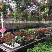 Varner S Greenhouse Nursery Nurseries Gardening 70294 Fir Rd Photo Of Varner S Greenhouse Nursery Niles Mi United States