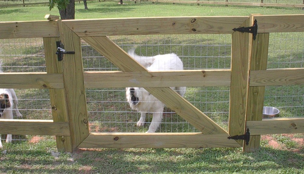Make Pinewood Great Again Dog Make Pinewood Great Again Dog