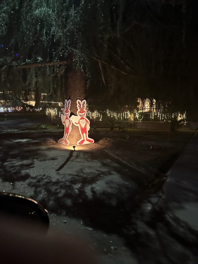 Christmas Tree Lane