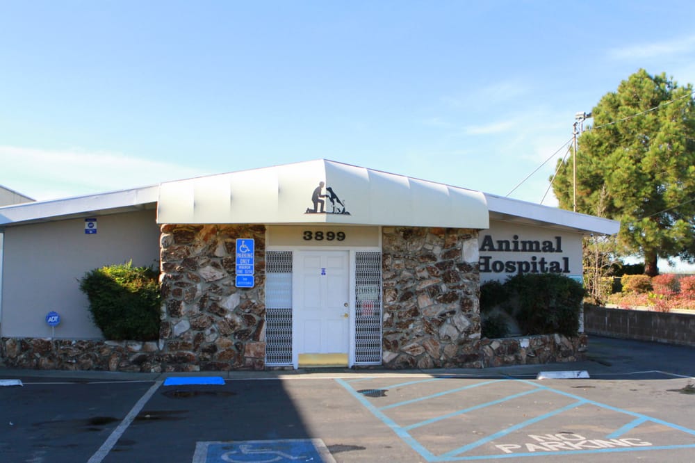 Animal Advocates Veterinary Hospital 10 Photos & 33 Reviews