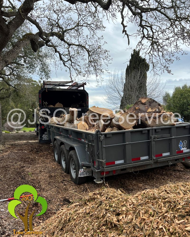 JSO Tree Service