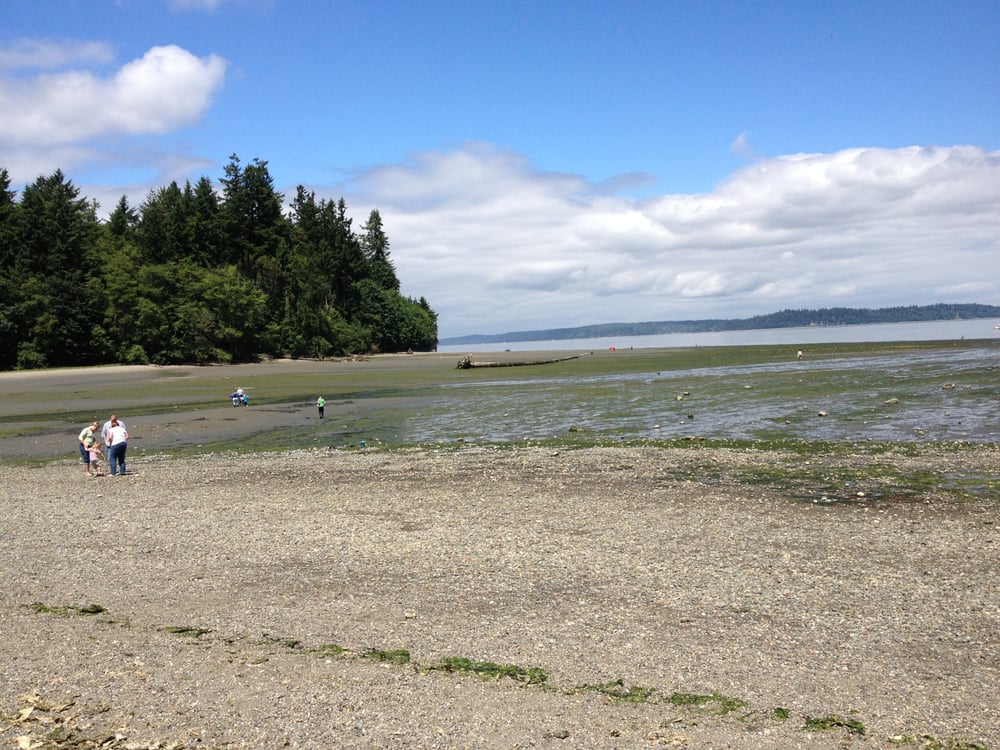 low tide june 2013 tolmie is a great place for clam tolmie state park tide chart