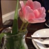 Pizza Garden
