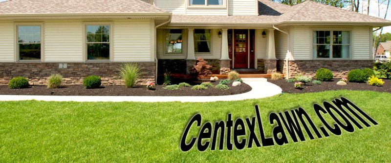 Central Texas Home & Lawn Transitions