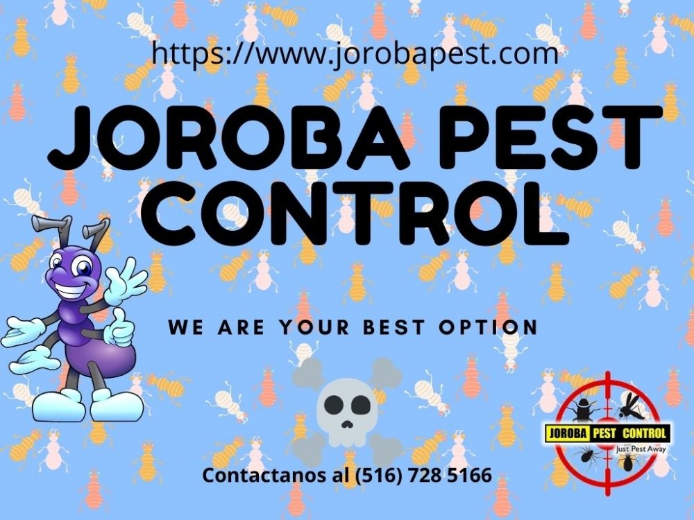 Joroba Pest