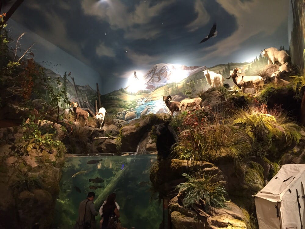 Photos for Bass Pro Shops - Yelp