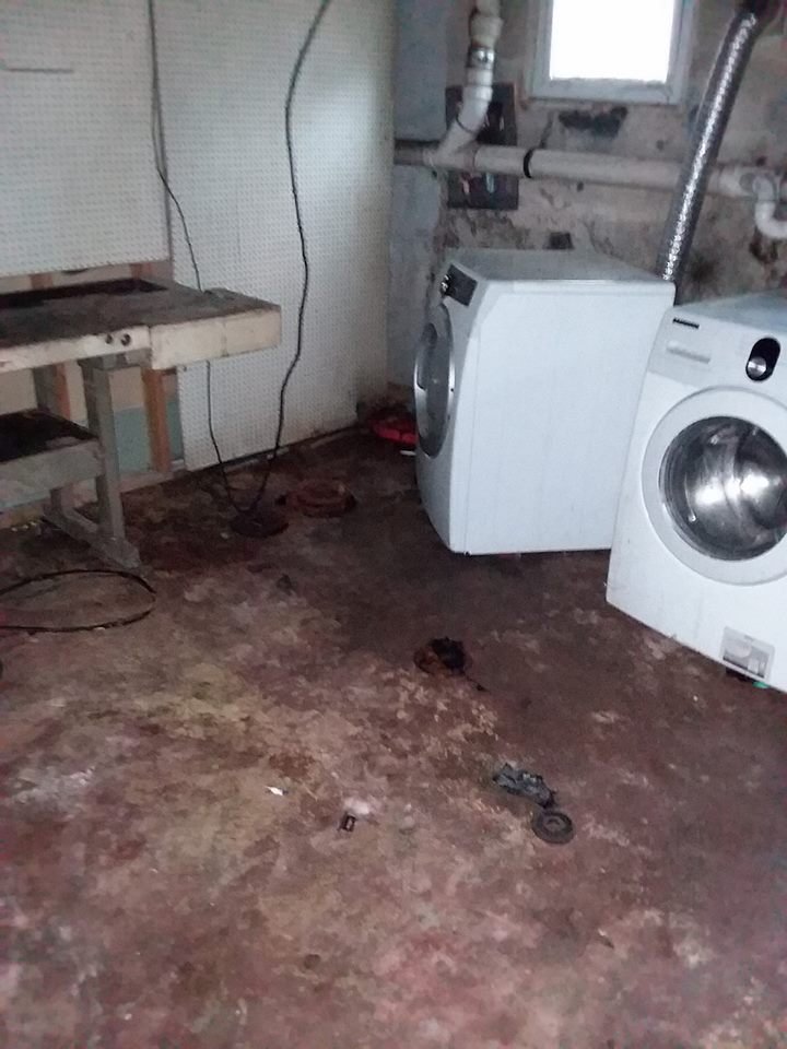 Best Junk Removal