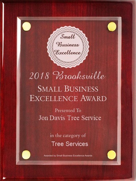 Jon Davis Tree Service Services 18200 Evening Star Ave Jon Davis Tree Service Services 18200 Evening Star Ave Brooksville Fl Phone Number Yelp