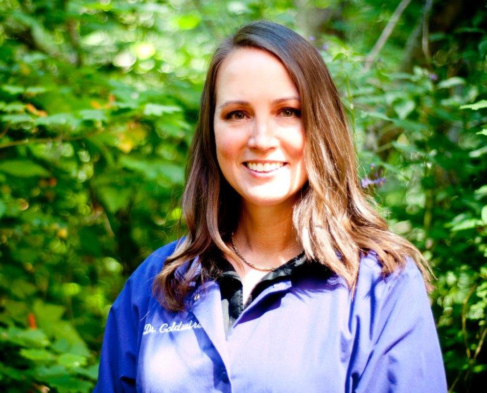 image of business Noreen Goldwire, DDS