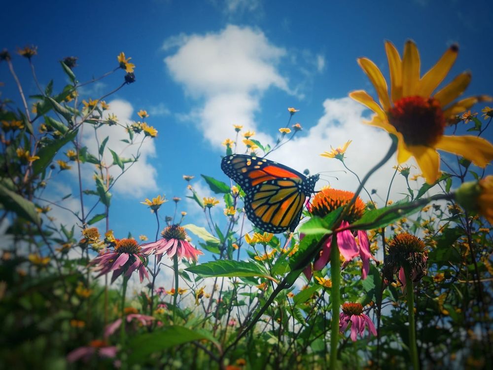 Micah Mackenzie Photography