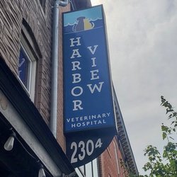 Harbor View Veterinary Hospital Request Consultation Vets