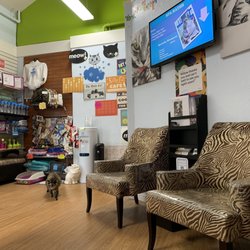 The Cats Inn 69 Photos 157 Reviews Pet Groomers 880