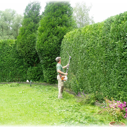 Gartengestaltung Dresden, gartengestaltung latschan - gardeners - lohmar, nordrhein-westfalen, Design ideen