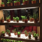 vapiano miami