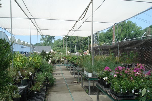 Rountree Plantation 517 Rd Charlotte Nc Greenhouses Mapquest