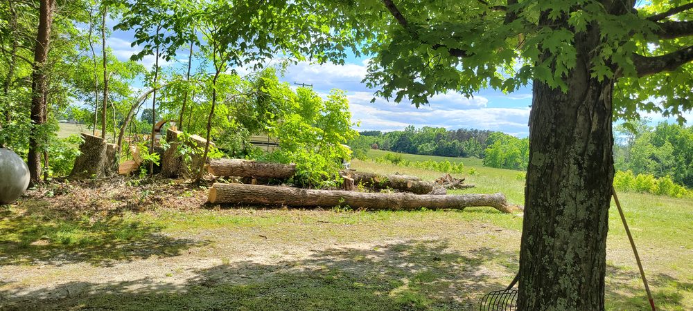UpRooted Tree Service