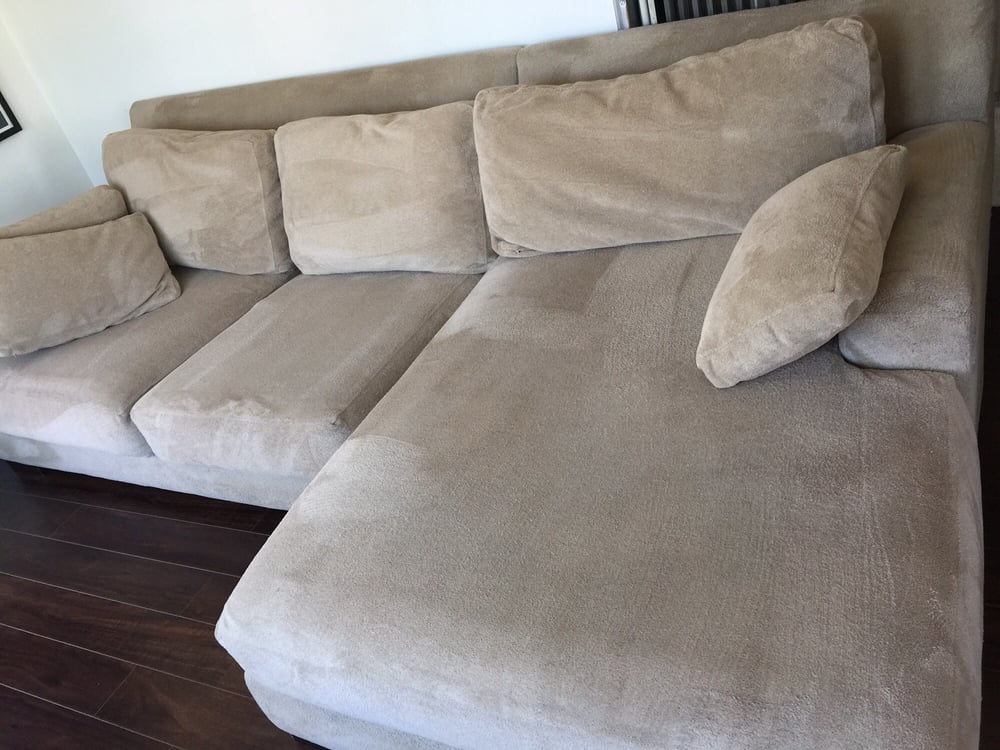 my clean scotch guarded couch so happy yelp