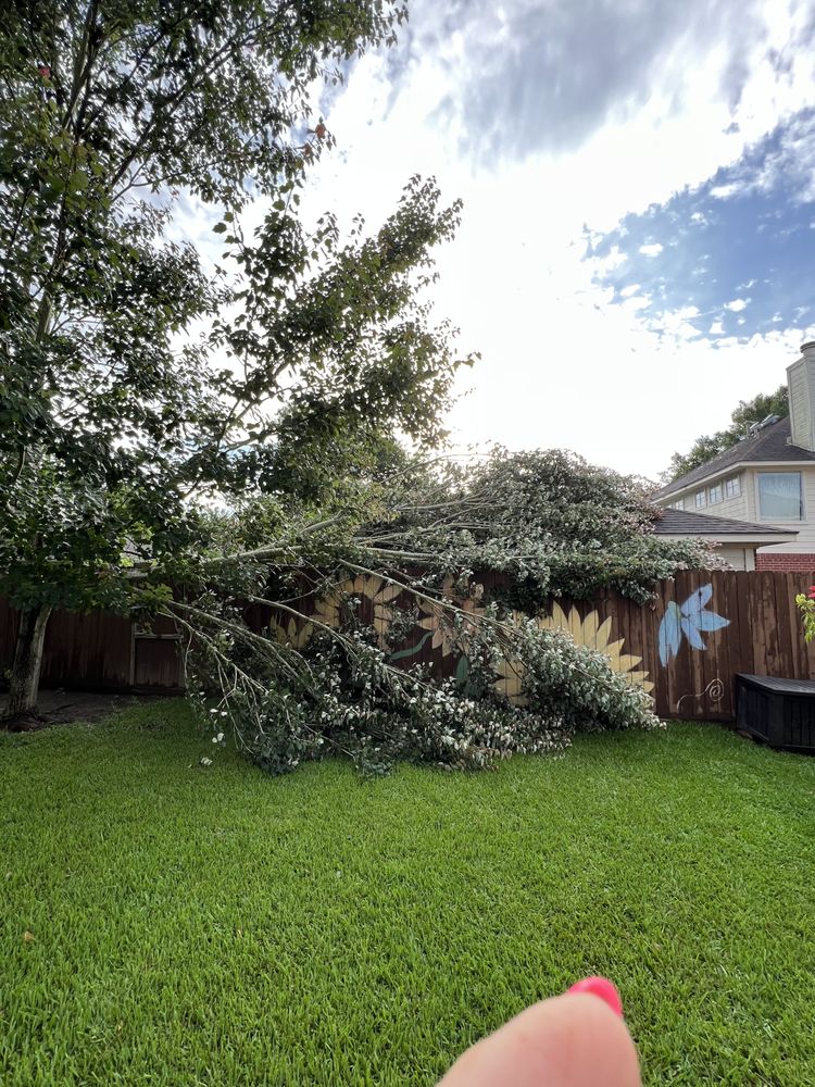 Hunter's Tree Service