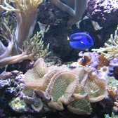 national aquarium closed 45